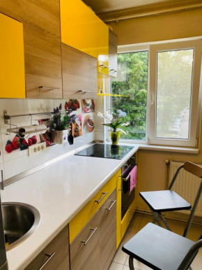 City Center Apartment